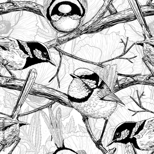 Seamless pattern made of hand drawn fairy wrens. Element for design.