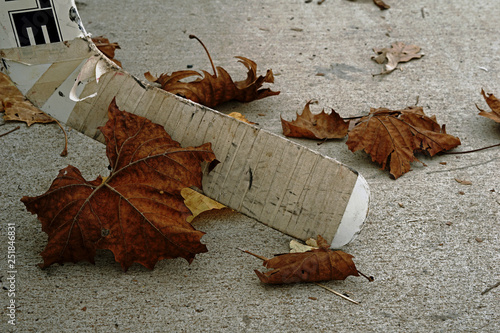 Taped Hockey Stick Among Autumn Leaves