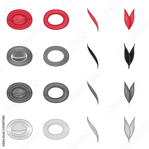 Isolated object of fiber and muscular icon. Set of fiber and body  vector icon for stock.