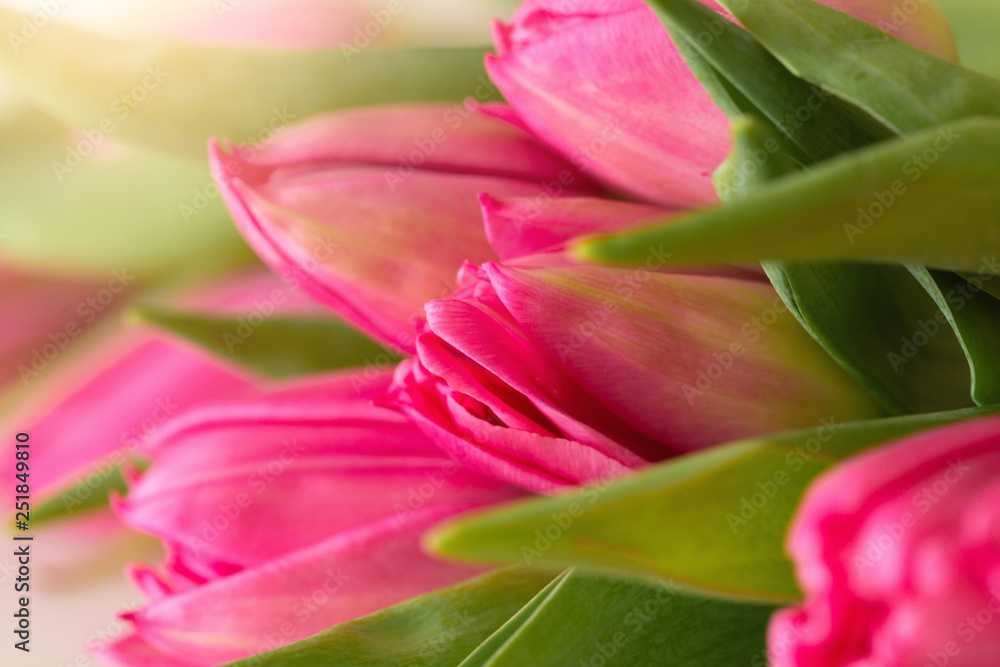Macro of bouquet of pink tulips Macro of bouquet of pink tulips