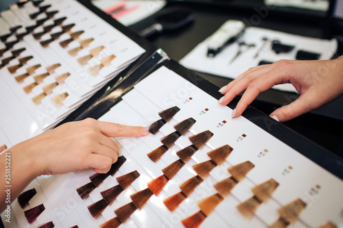 Bild auf Leinwand Close-up of woman choosing dark color hair from palette on white background