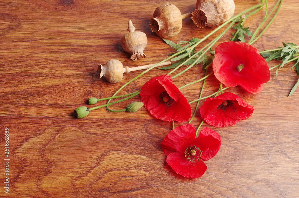 Red poppies and poppies heads on a wooden table. Drugs. Red poppies and poppies heads on a wooden table. Drugs.