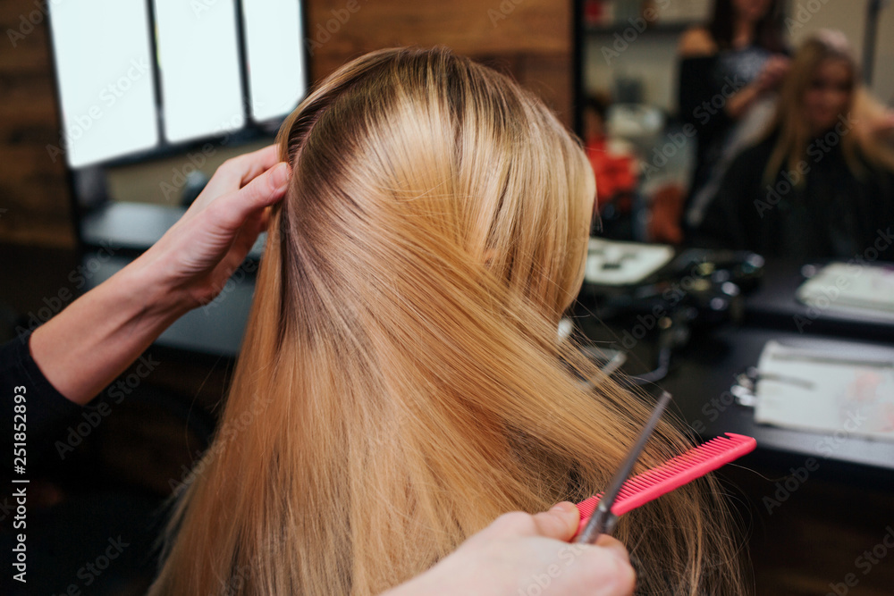 Naklejka premium Hairstylist hands combing blonde hair before hair care procedures in beauty salon