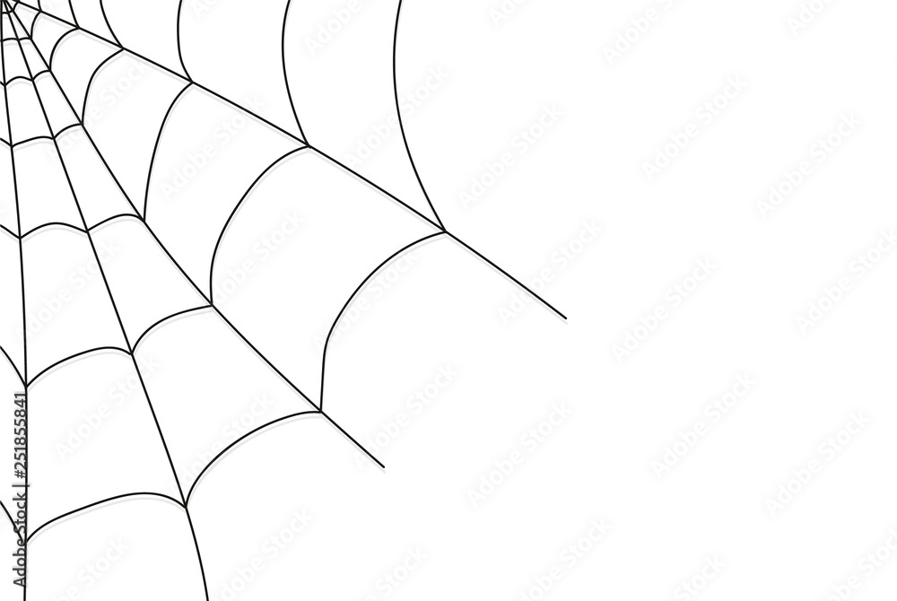 Obraz premium Cobweb isolated on white