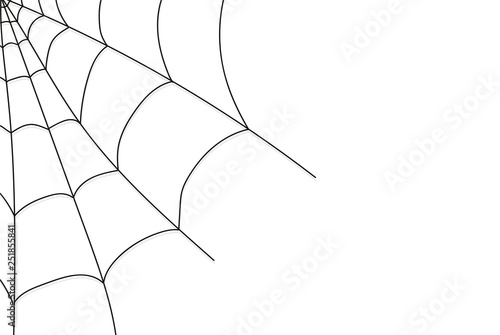 Cobweb isolated on white