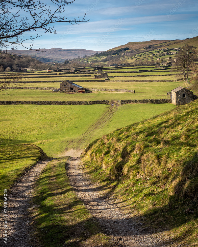 Obraz premium Old Barns in Swaledale