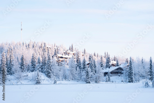 The beauty of nature in Northern Europe, winter landscape. Wooden houses stand on the hillside among the trees.