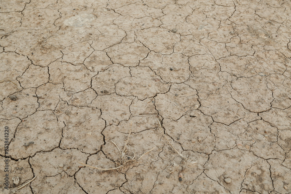 Fototapeta premium dry cracked earth background texture no water