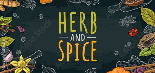 HERB and SPICE handwriting lettering. Set vector color engraving
