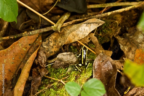 Ciudad Perdida hike in Colombia