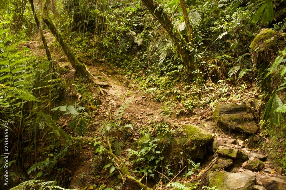 Ciudad Perdida hike in Colombia Ciudad Perdida hike in Colombia