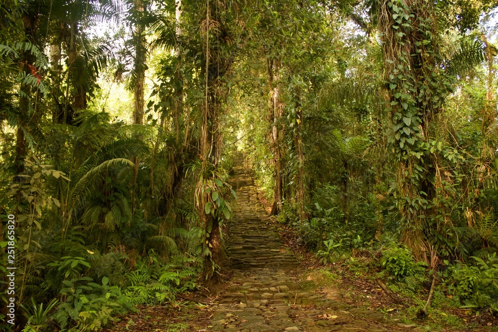 Fototapeta premium Ciudad Perdida hike in Colombia