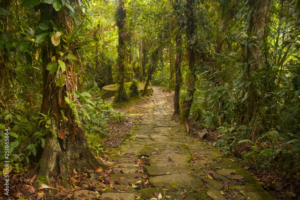 Fototapeta premium Ciudad Perdida hike in Colombia