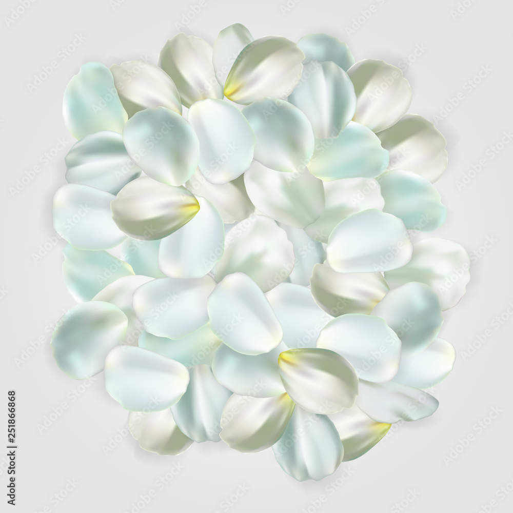 White petals isolated on pale background. For greeting card, wallpaper, flyers, posters or wedding invitation background party design. Vector illustration. White petals isolated on pale background. For greeting card, wallpaper, flyers, posters or wedding invitation background party design. Vector illustration.