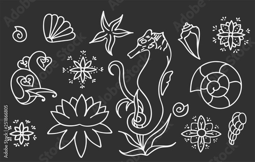 Sea horse, shells and doodle elements. Graphic sea life collection. Vector ocean creatures isolated on gray background. Set of simple line drawings. Hand drawn illustration. .
