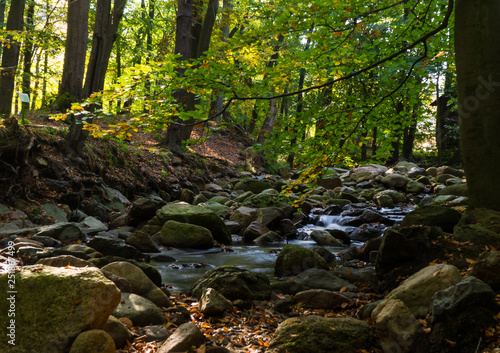 Time exposure of a river called Ilsefaelle in the german region Harz photo