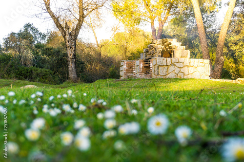 manto de flores y margaritas en el campo con barbacoa de piedra 