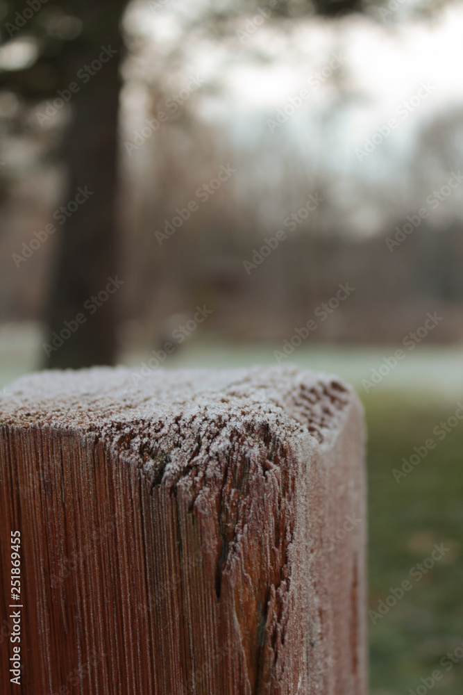 White Frost Covered Brown Fencepost With Soft Pine and Green Lawn Background White Frost Covered Brown Fencepost With Soft Pine and Green Lawn Background