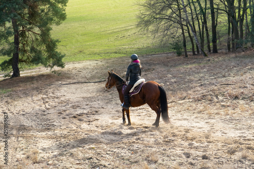 Girl on Horse in narture riding animal western