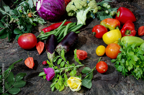 Appetizing vegetables on a natural background. Cabbage  eggplants  tomatoes  peppers  asparagus  parsley.