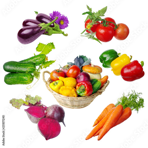 Set of fresh vegetables on white. Tomatoes, cucumbers, onions, peppers, eggplants, carrots, pumpkins.