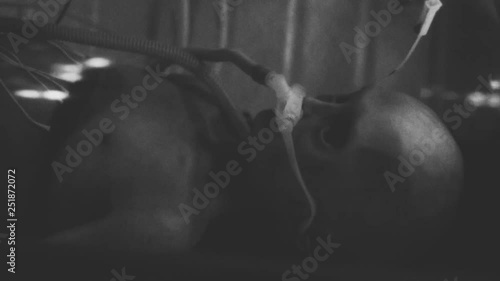 classified retro old video of the humanoid alien