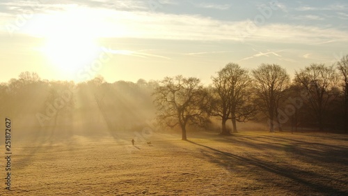 Sun through mist and trees with dog walker
