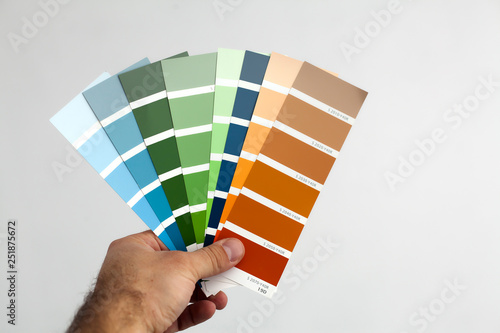 Color swatches for room painting. © rades