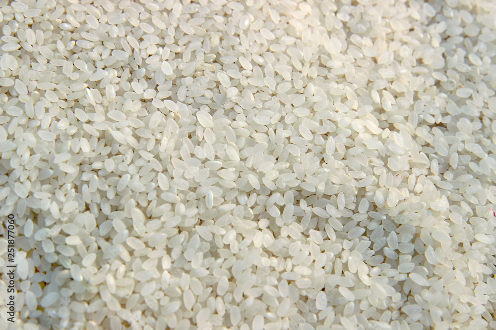 rice on white background. White rice rice on white background. White rice