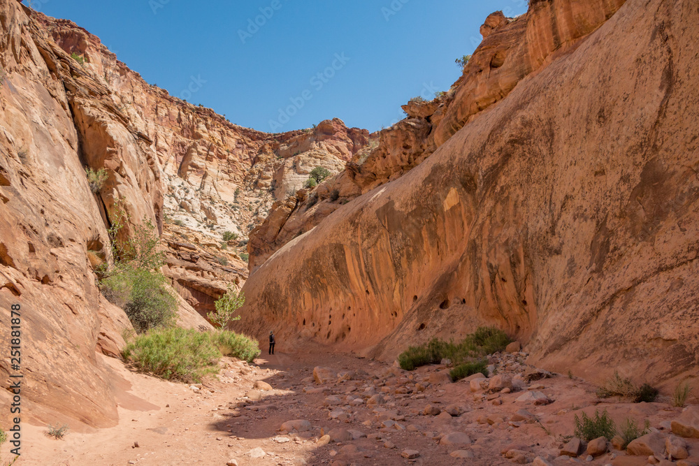 Deep in Capitol Gorge Trail