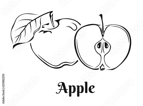 Apple icon isolated on white background. Vector food illustration in simple style. Black and white image.