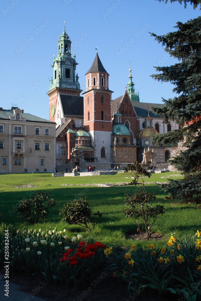 Spring in Krakow (Wawel), Poland