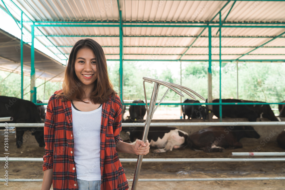 Beautiful asian woman or farmer with and cows in cowshed on dairy farm-Farming, and animal husbandry concept.