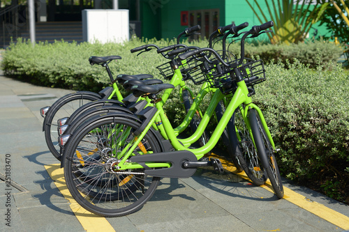 Bicycles for rent