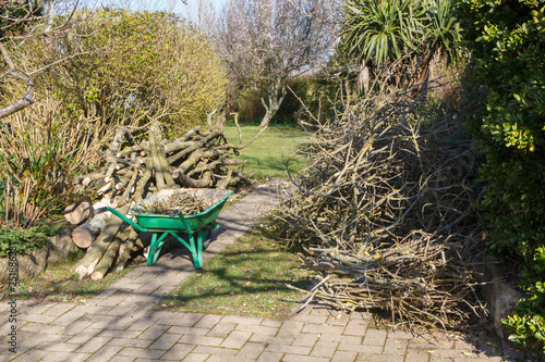 Heap of wood logs and fagots in a garden after trimming a tree
