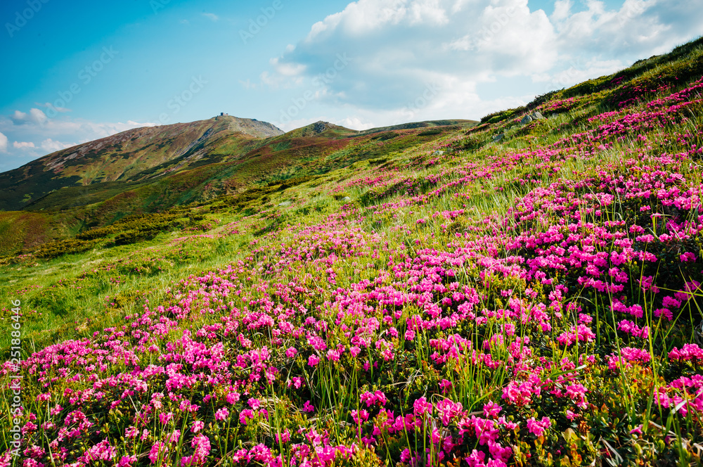 Captivating scene of the alpine valley in sunlight. Location place Carpathian Ukraine, Europe. Captivating scene of the alpine valley in sunlight. Location place Carpathian Ukraine, Europe.