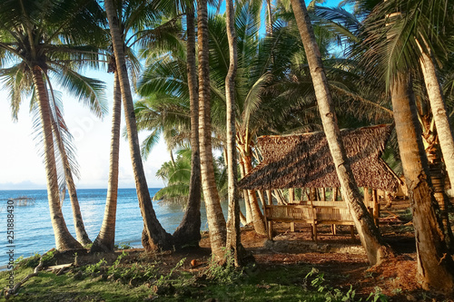 Photography Beach hut in coconut tree grove near sunset - Siargao Philippines