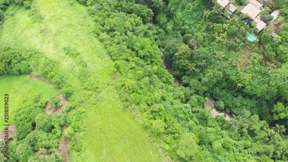 Aerial view of the green grass field in Ubud. Aerial view of the green grass field in Ubud.