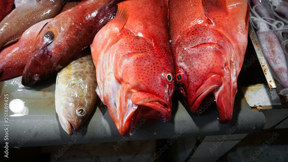 Fresh Caught Fish, Red Snapper in Filipino Market - Siargao, Philippines  Stock Photo | Adobe Stock