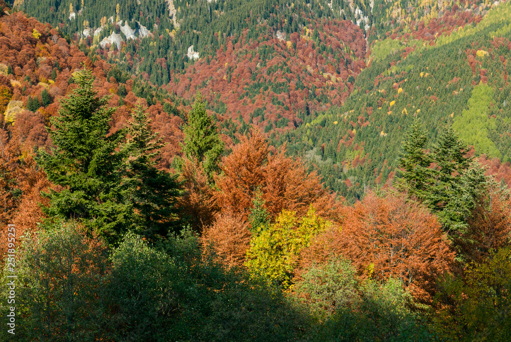 jesień w górach