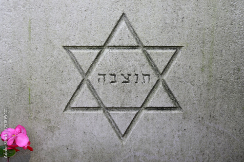 star of david symbol on gravestone at municipal cemetery in Amsterdam, The Netherlands