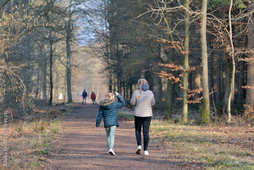Des personnes qui se promènent en forêt Des personnes qui se promènent en forêt