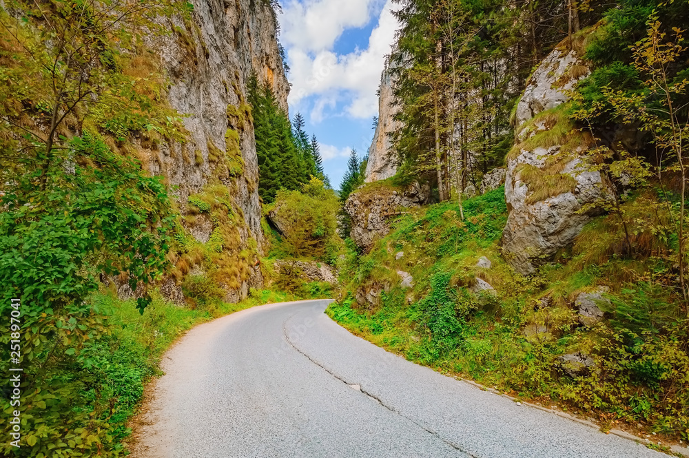 Road in Rhodope Mountains