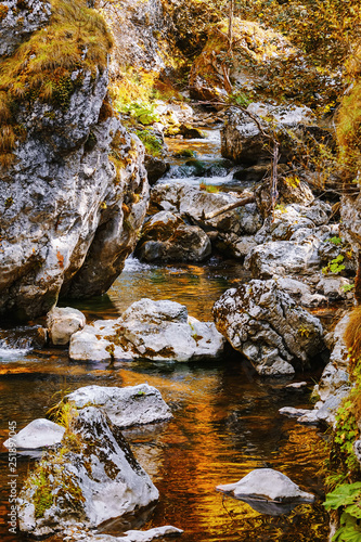 Mountain river in Rhodope Mountains
