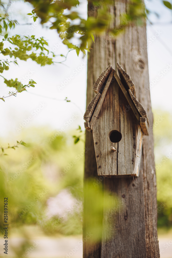 A wooden nesting box hanging on a tree. Bird house on the tree in spring park or forest. Copy space