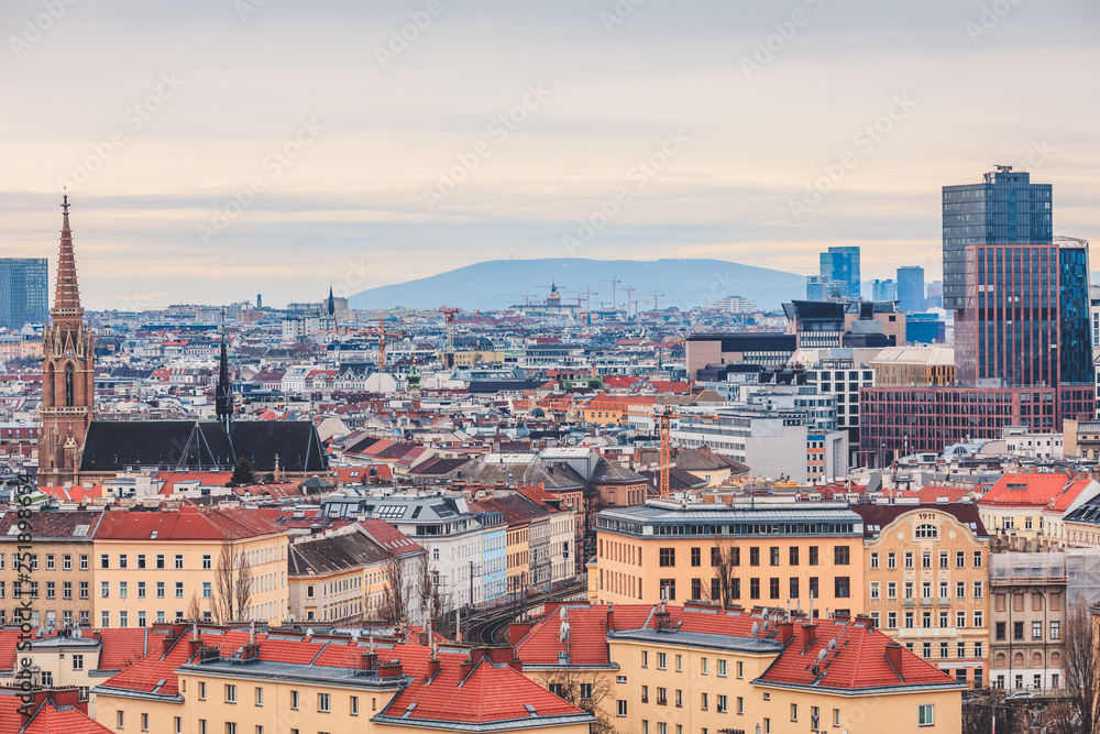 View from above over Vienna cityscape with mountain range in the background