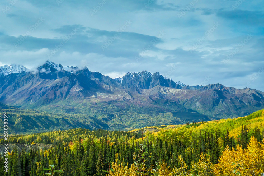 Fototapeta premium Alaska wilderness