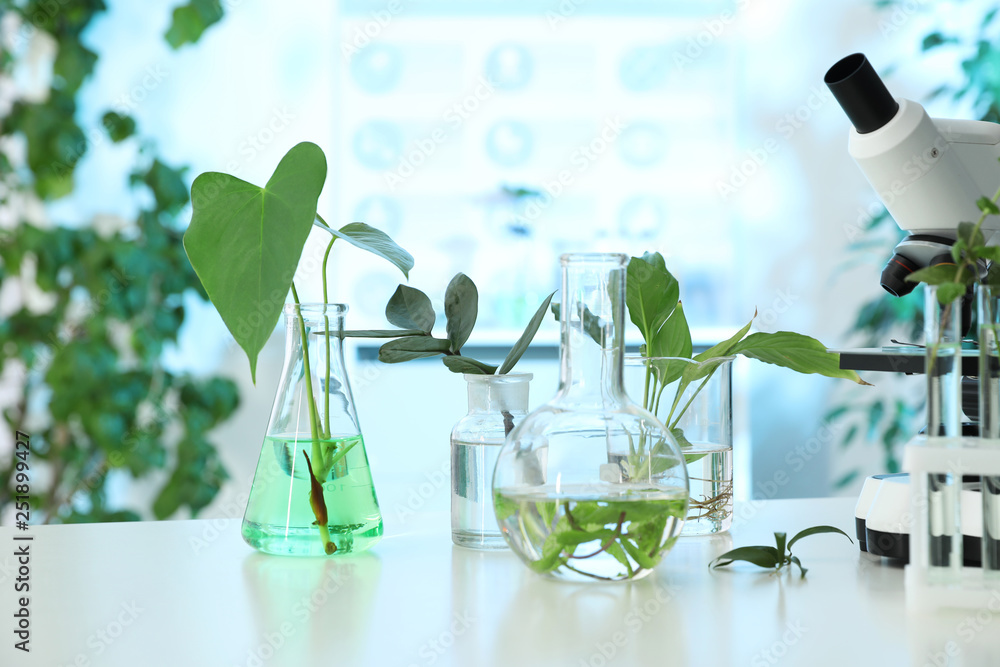 Laboratory glassware with plants and microscope on table. Biological chemistry - obrazy, fototapety, plakaty 