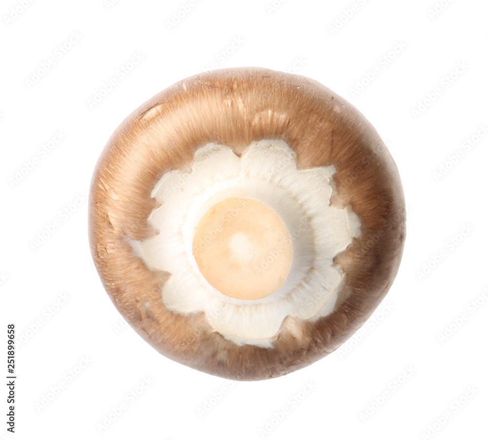 Fresh champignon mushroom isolated on white. Healthy food Fresh champignon mushroom isolated on white. Healthy food