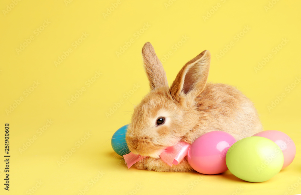 Obraz premium Adorable furry Easter bunny with cute bow tie and dyed eggs on color background, space for text